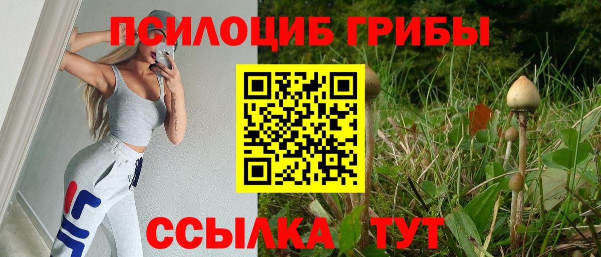 Галлюциногенные грибы Cubensis  Псилоцибиновые грибы Magic Shrooms  Медногорск  Вход с VPN 