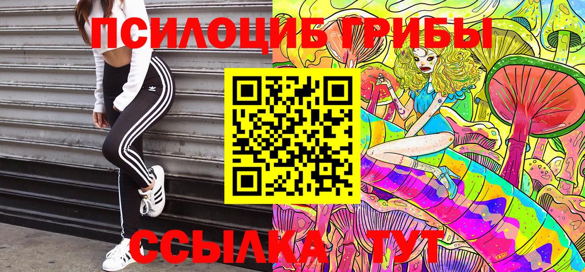Псилоцибиновые грибы Cubensis Медногорск
